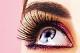             BLACK LASHES. 
 
BLACK LASHES -     ...