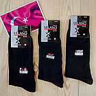 : 1111904781_w140_h140_turetskie-noski-muzhskie.jpg
: 197

: 8.8 