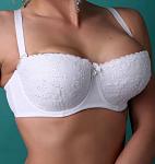 : 1848154036_w455_h430_byustgalter-v-tonkij.jpg
: 616

: 4.2 