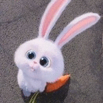 : 162361203561.gif
: 569

: 21.3 