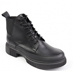 1300/01/02 
 
1500 
 
" : 36-41 
 :   
 :  
 : "