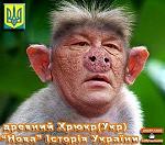 : Ющенко 2.jpg
: 94

: 6.8 