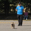 : IMG_3814a.jpg
: 80

: 5.9 