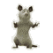 : mysh.gif
: 246

: 13.9 