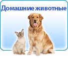 : pets-R23.png
: 305

: 13.4 